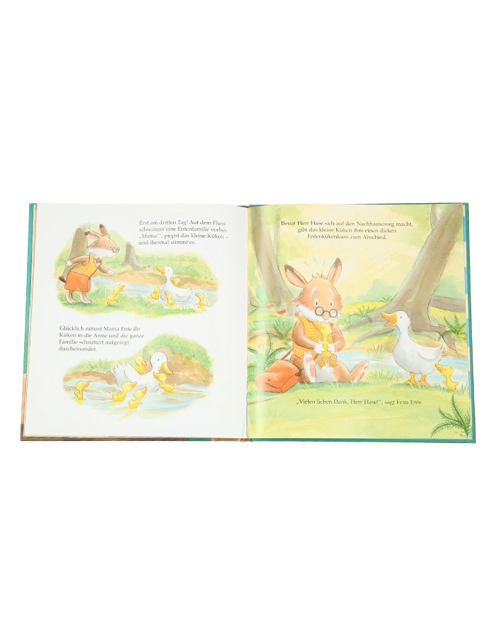 Herr Hase und der ungebetene Gast
