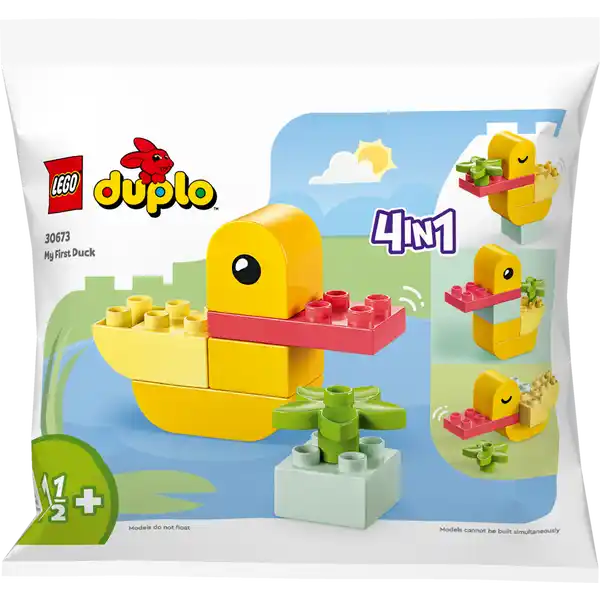 30673 Meine erste Ente