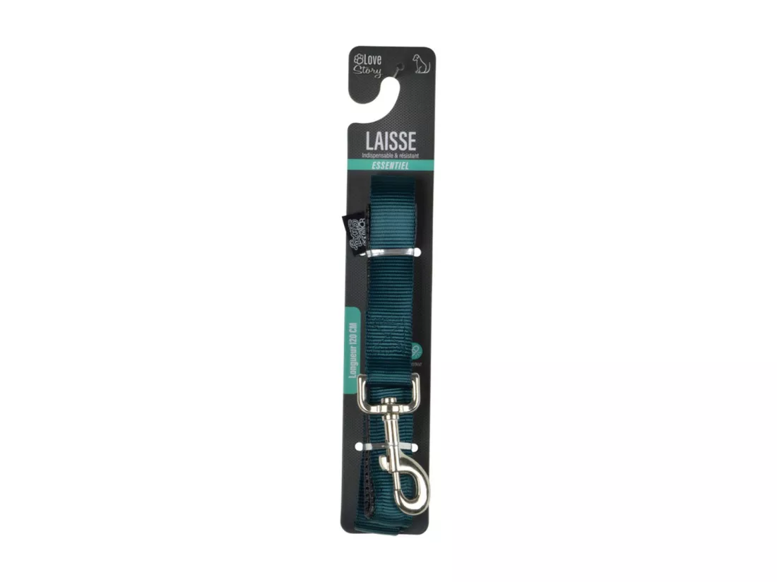 Laisse pour Chien 