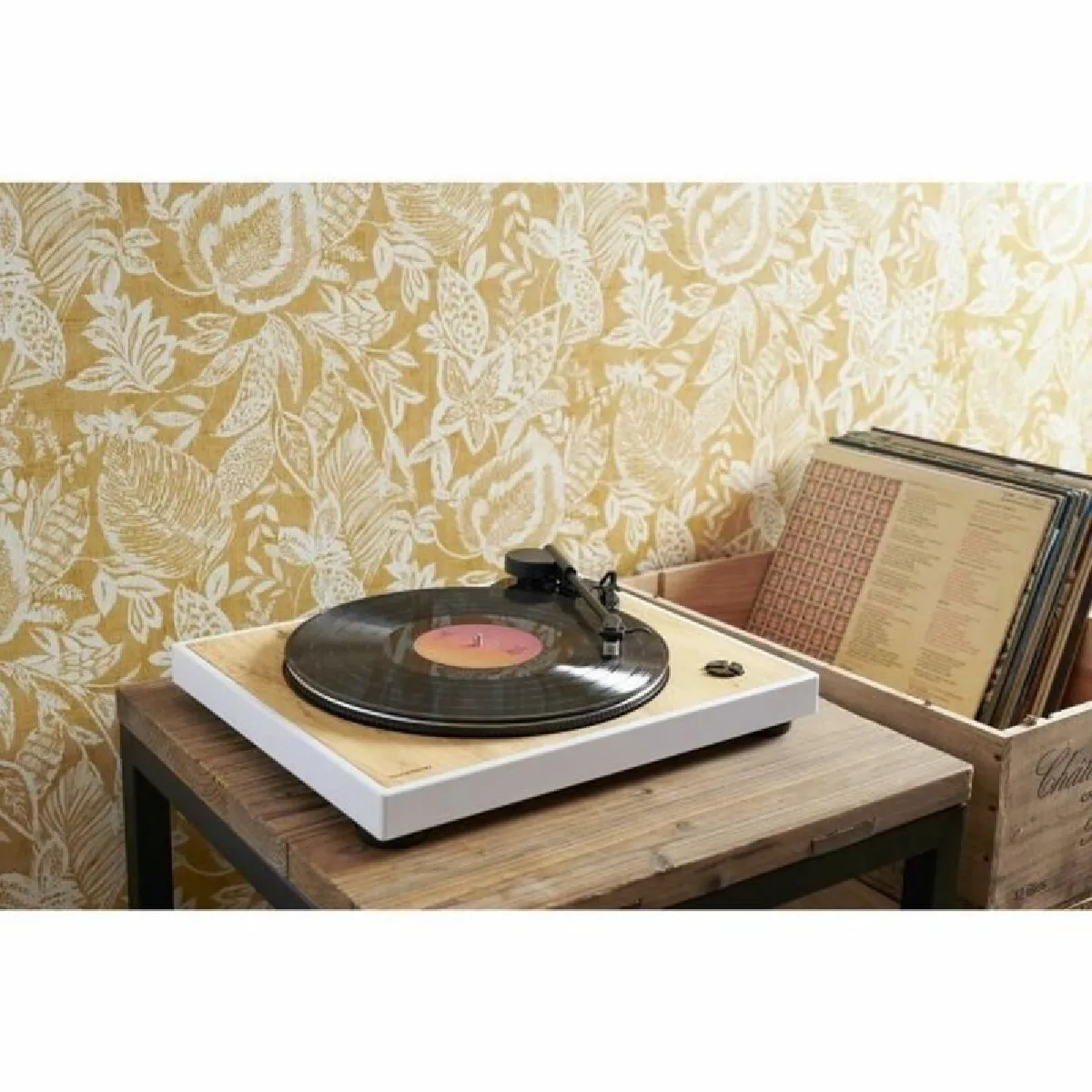 Thomson TT301