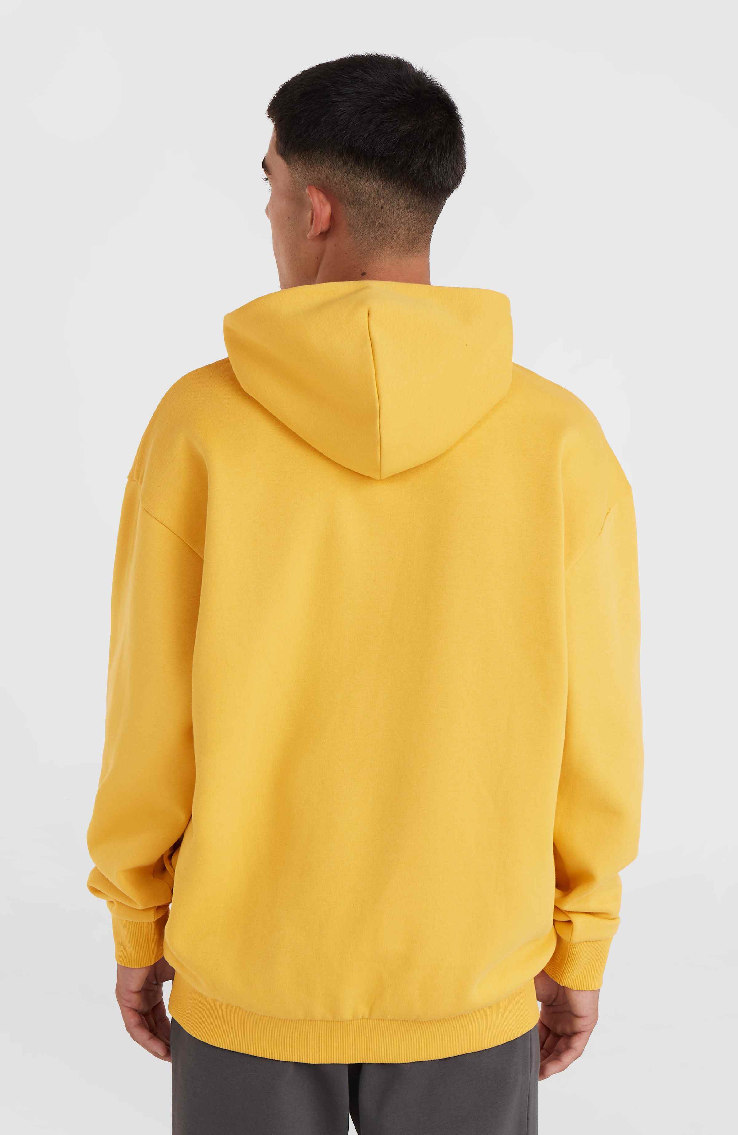 Future Surf Society hoodie O`Neill Goud