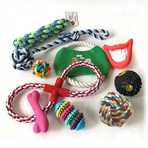 Conjunto de brinquedos multicoloridos para cães