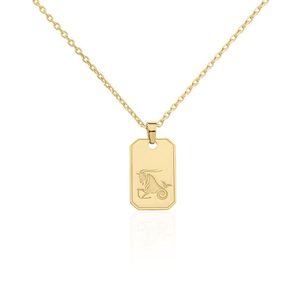 Collier Plaqué Or Quintien