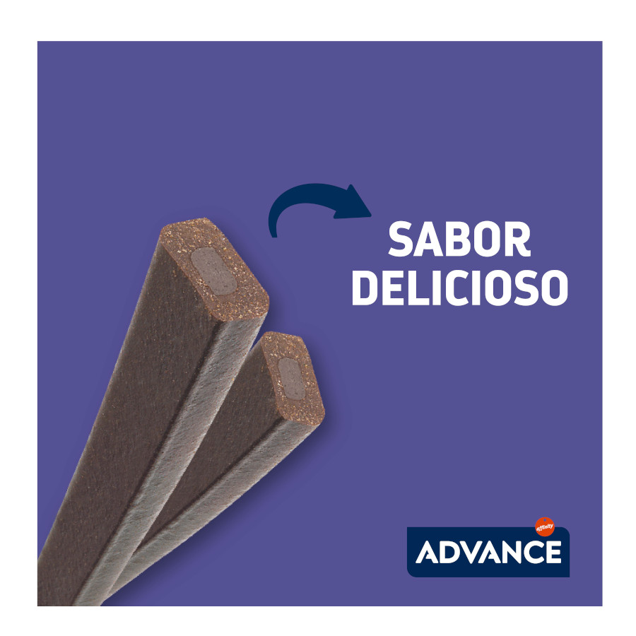Bastão articular avançado para cães