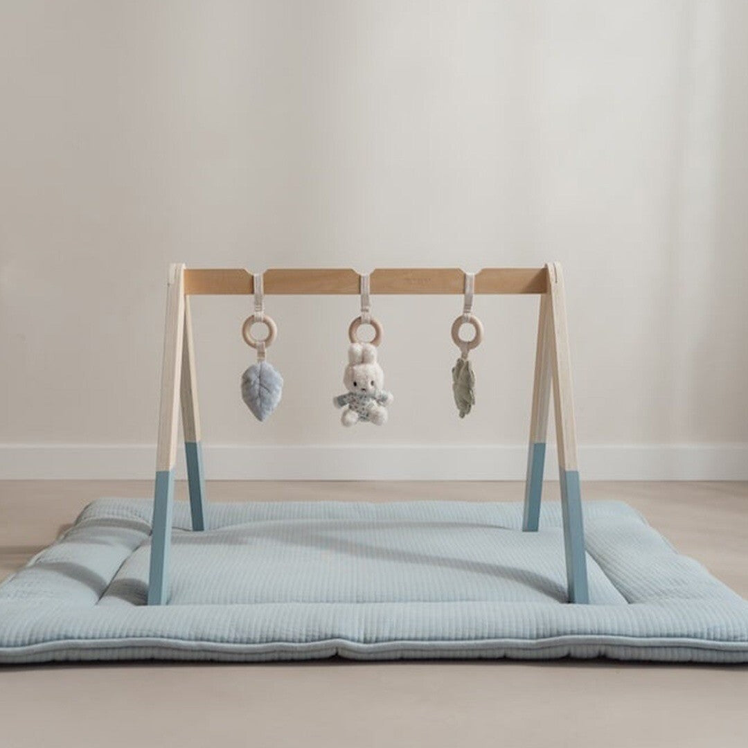 Little dutch babygym en speeltjes lucky leaves