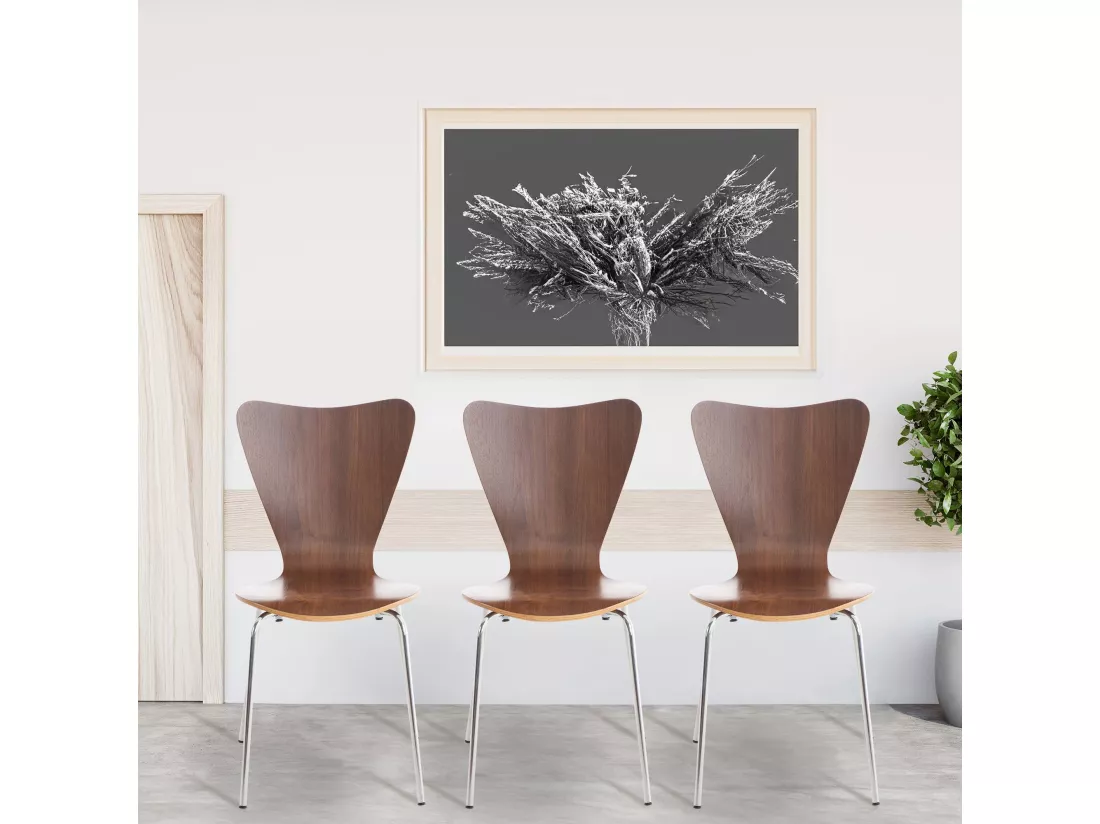 Lot de 4 Chaise de conférence - Bois & Nature - Noyer - Calisto
