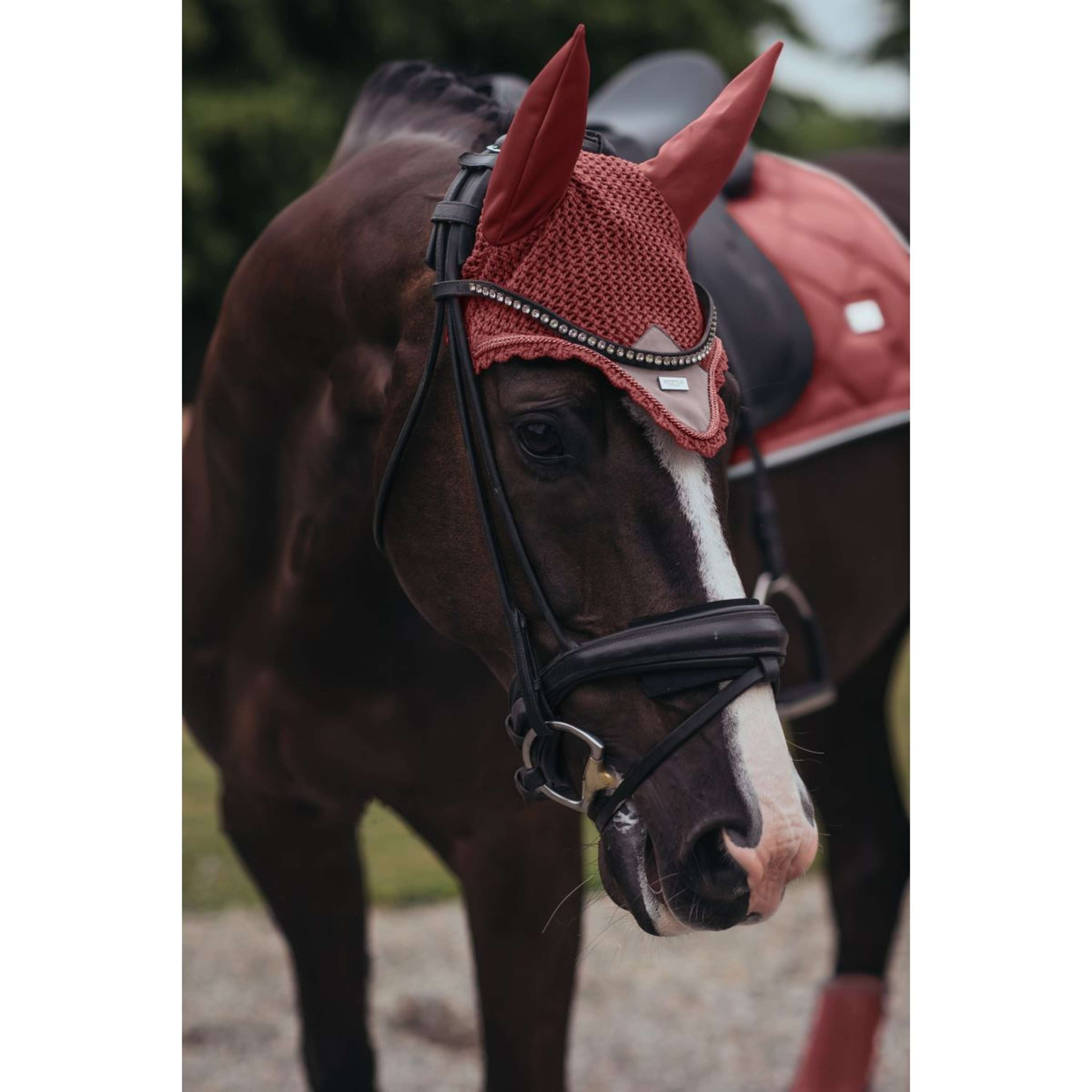 Equestrian Stockholm Oornetje Amber Rose