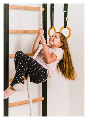 Espalier de gymnastique BenchK  721B   A076