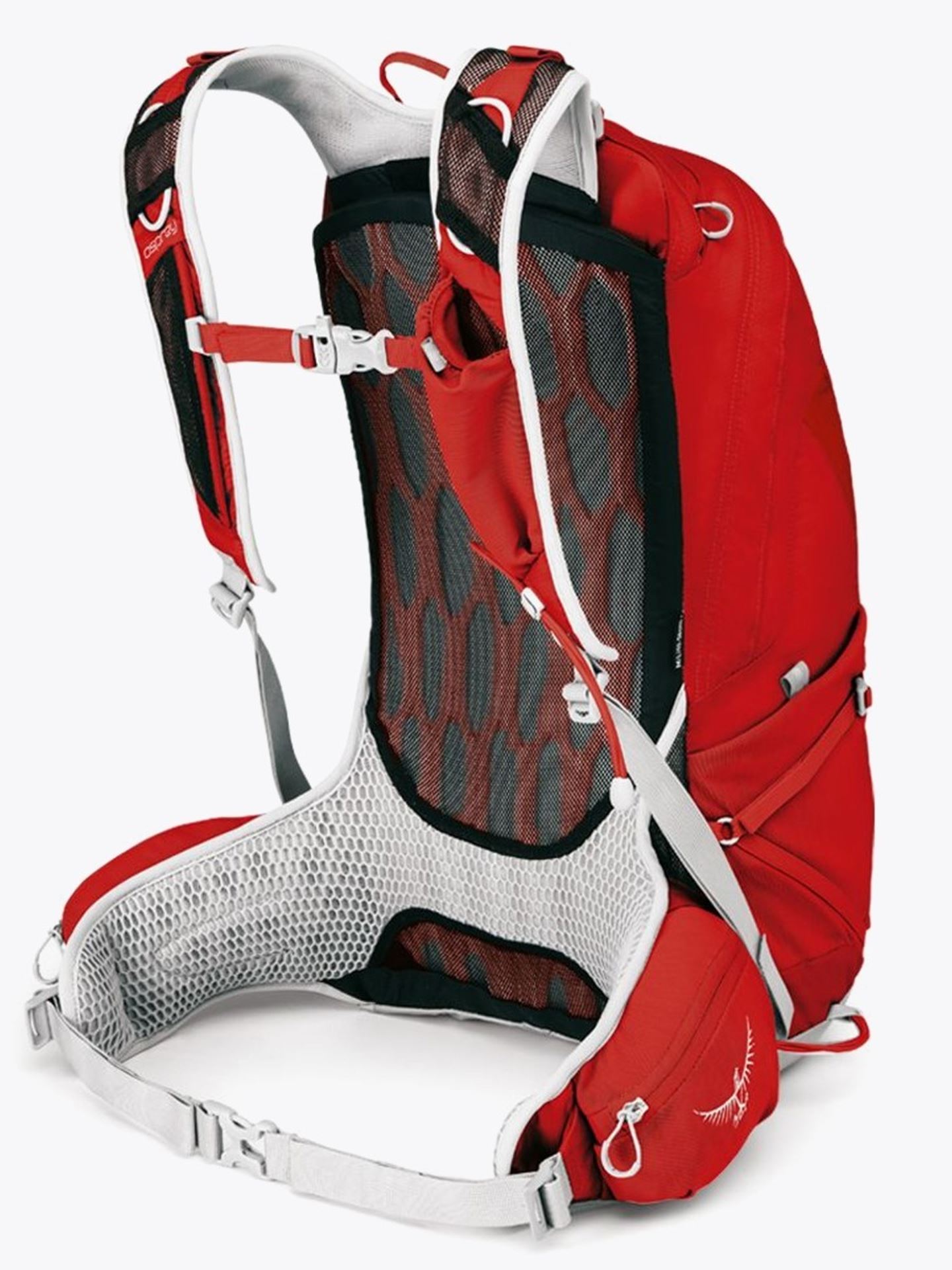 Talon 20L