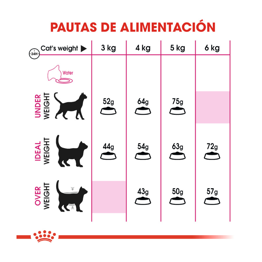 Ração Royal Canin Adult Exigent Aroma para gatos
