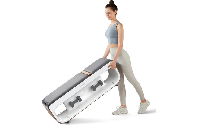 Kraftstation »KingSmith Bench«