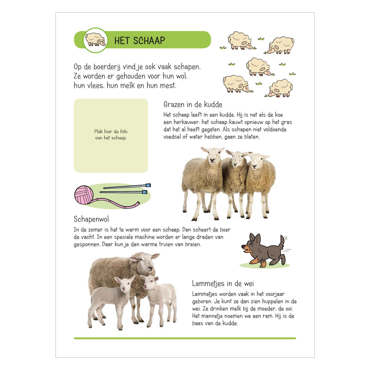 Stickerboek - Dieren op de boerderij
