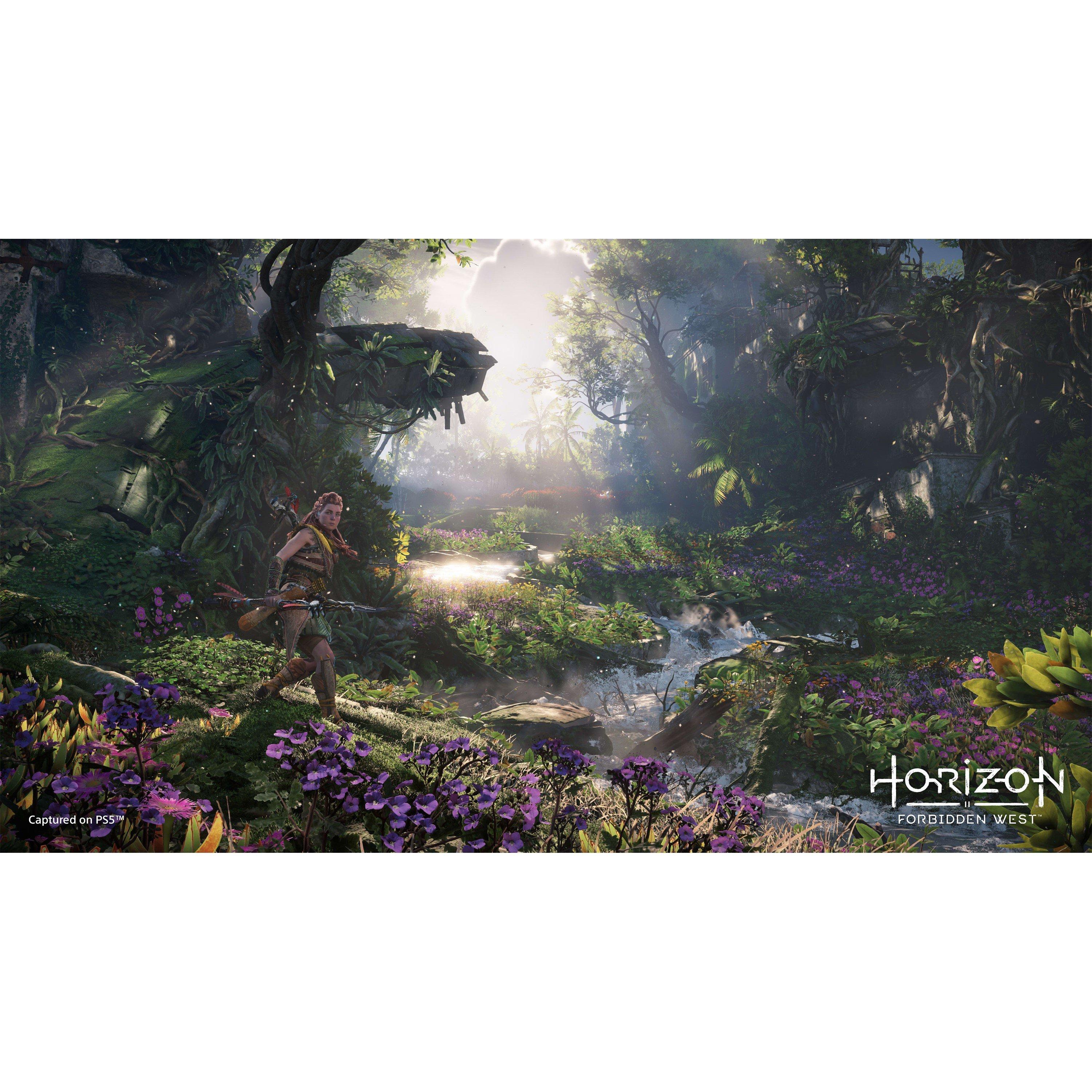 PlayStation GAME Horizon Forbidden West