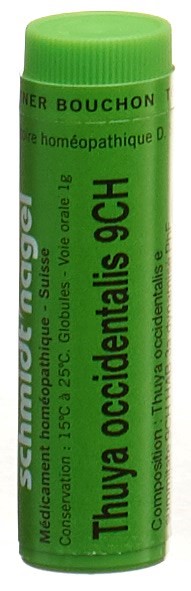 SCHMIDT-NAGEL Thuya occidentalis Glob 9 CH 1 g