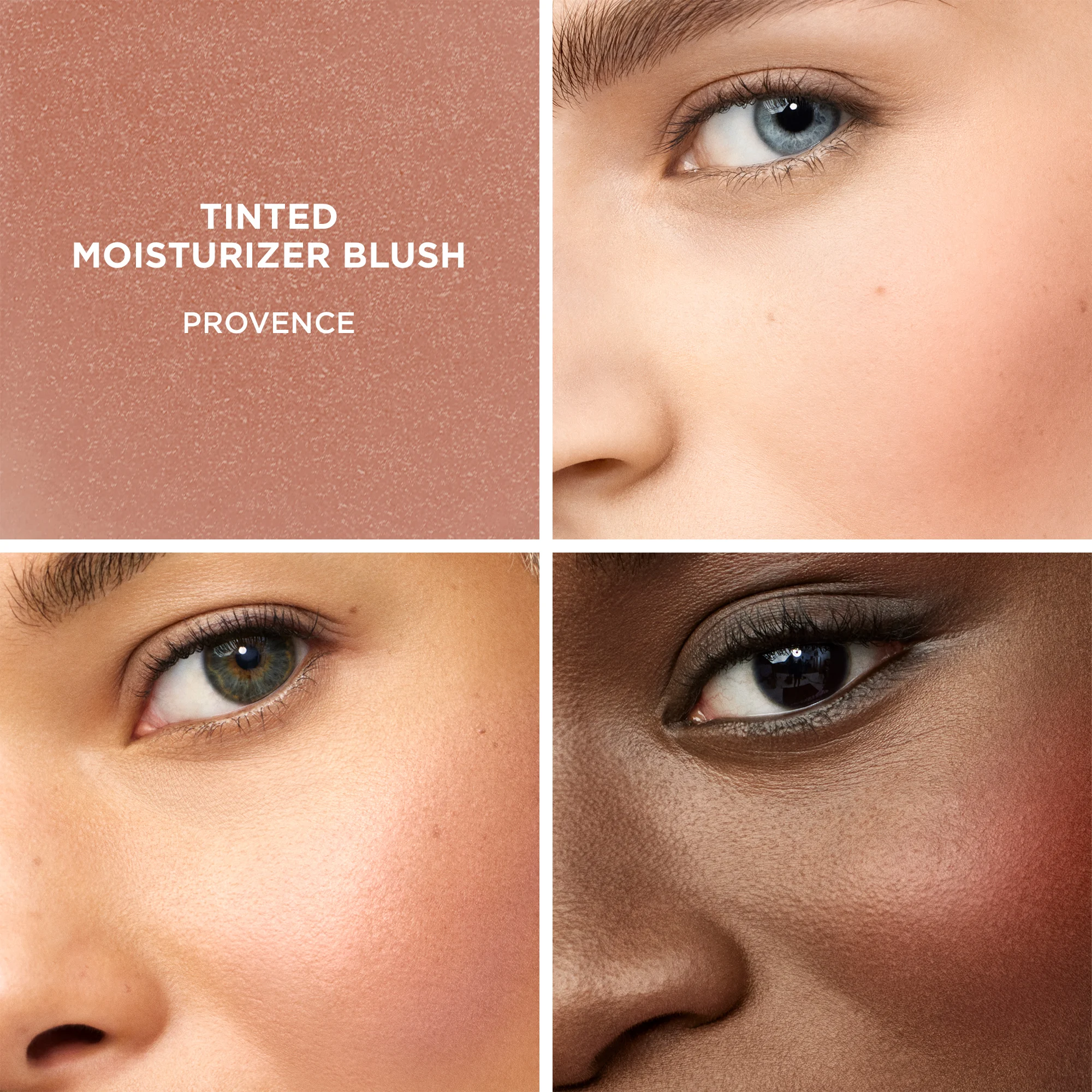 Tinted Moisturizer Blush |- Provence