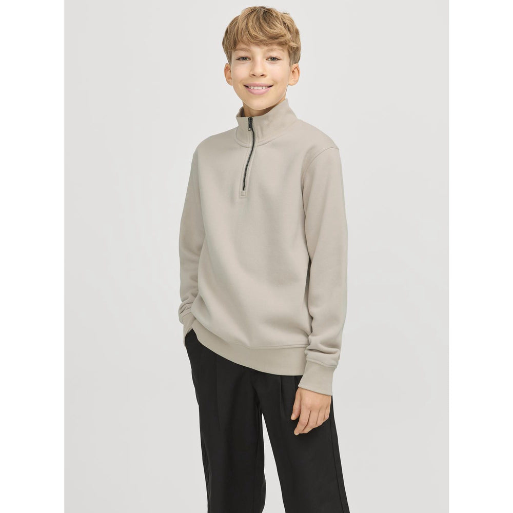 Køb Jack & Jones Junior Moonbeam Bradley Sweatshirt Half Zip Noos