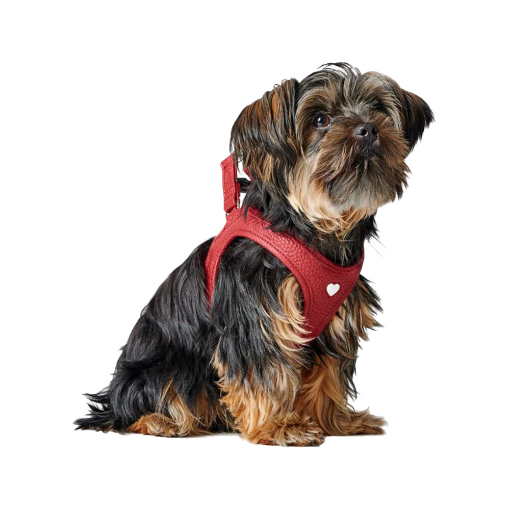 Hunter Harness Love