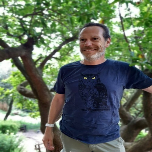 Camiseta masculina com estampa de coruja azul, totem animal.