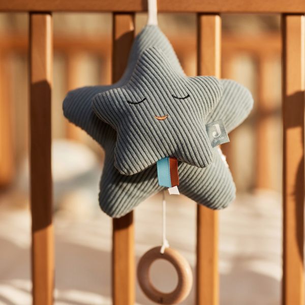 Jollein Muziekhanger Star - Sea Green