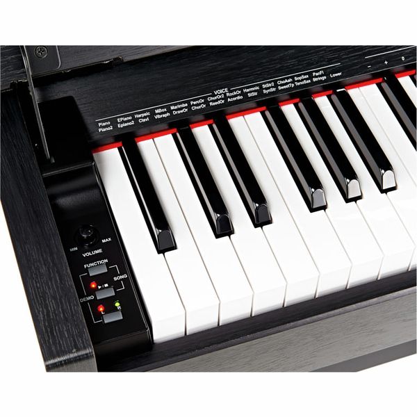 Thomann DP-33 B