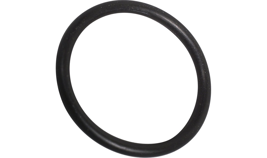 O-ring for oliepumpe