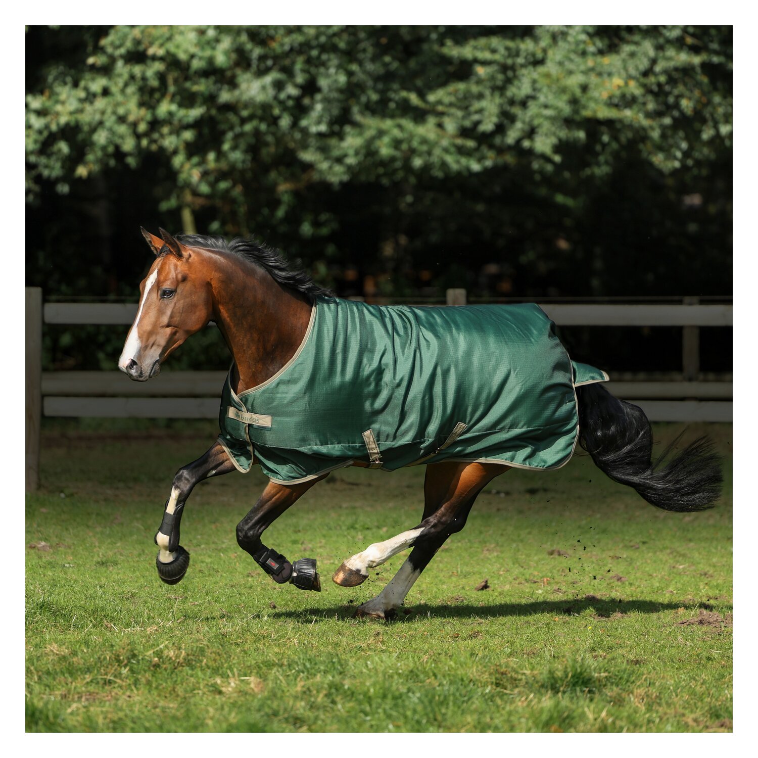 bucas Outdoordecke Freedom Turnout - opal/taupe