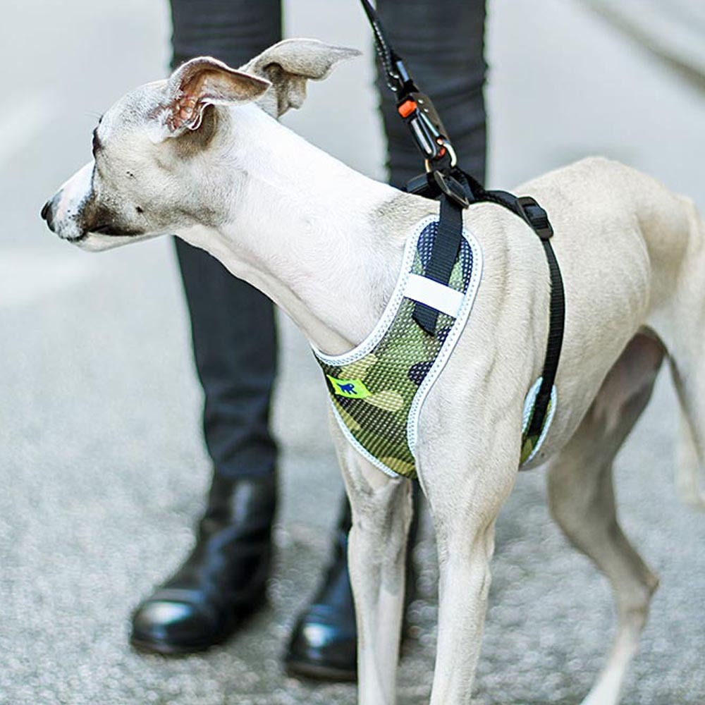 Harnais pour chiens nikita fashion m respirant, rembourré et ajustable
