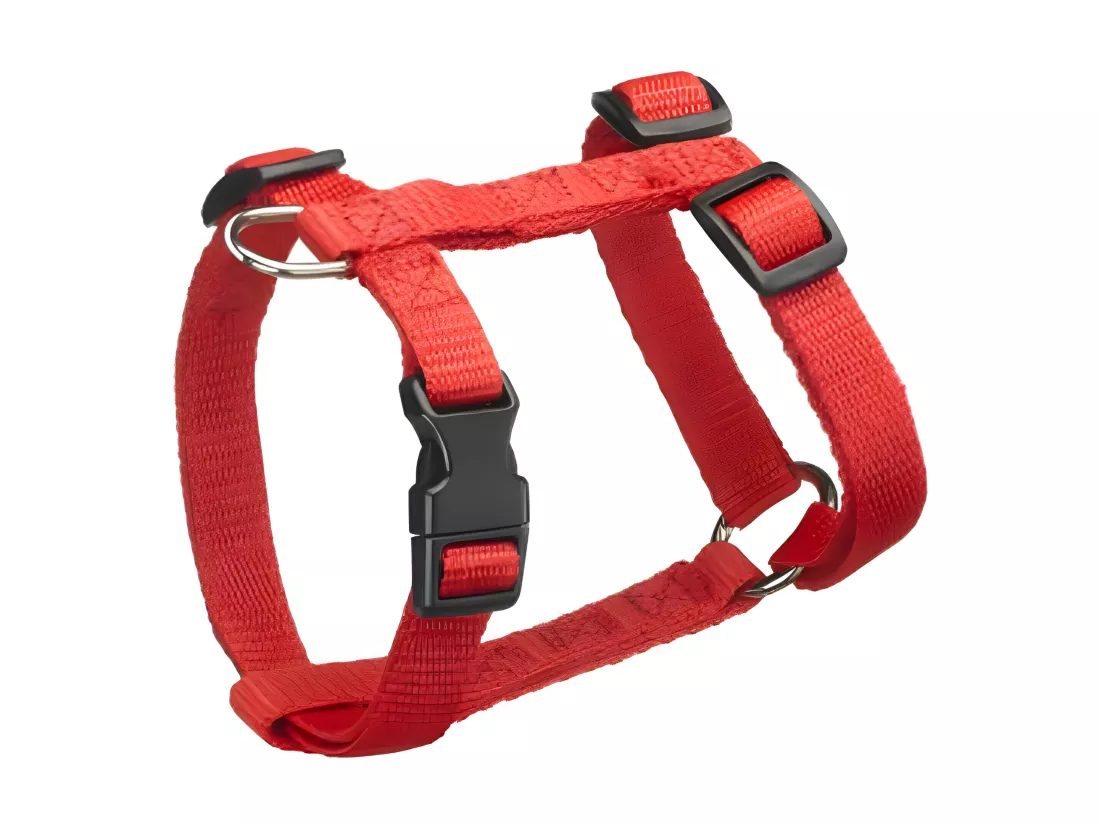 Harnais pour Chien 