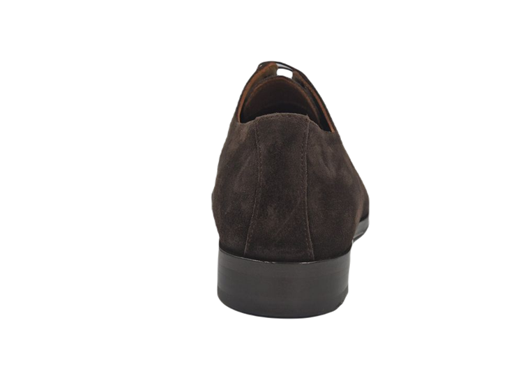van Bommel SBM-30149 darkbrown