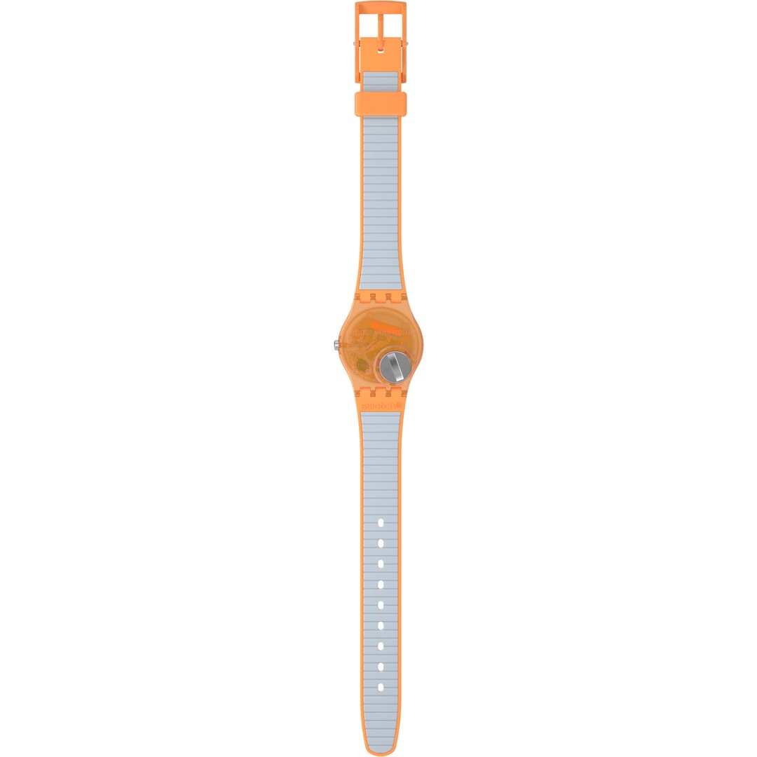 Swatch Original 25 View from a Mesa