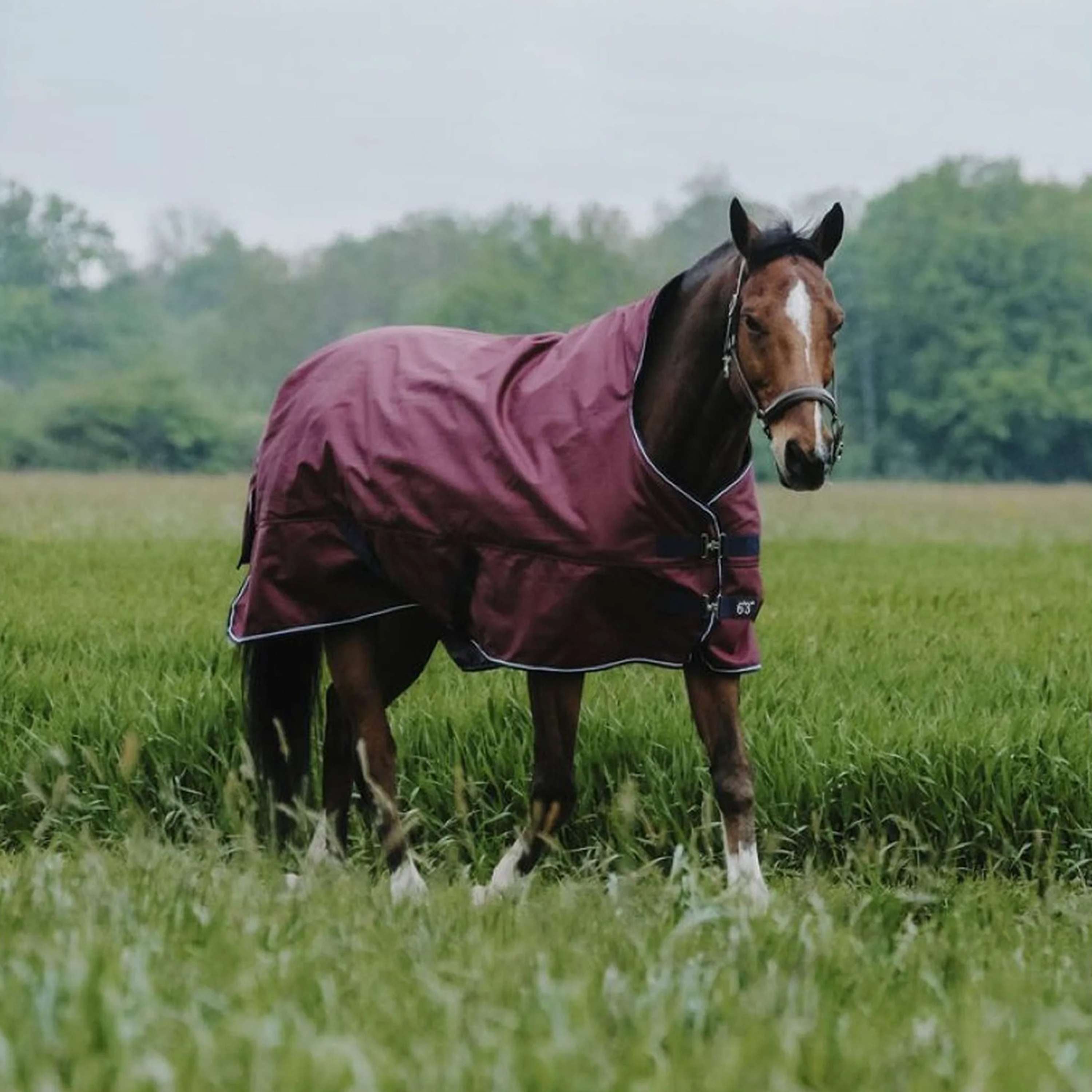 EQUITHÈME Outdoordeken Tyrex 1200D 0g High Neck Burgundy