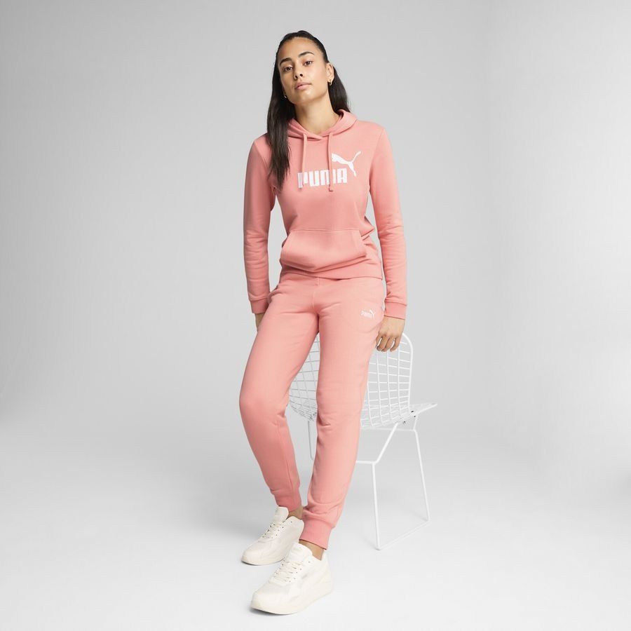 Puma ESS No. 1 Logo Hoodie