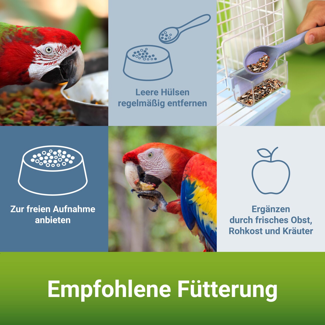 Panto ® Papageienfutter mit Pluramin 20kg