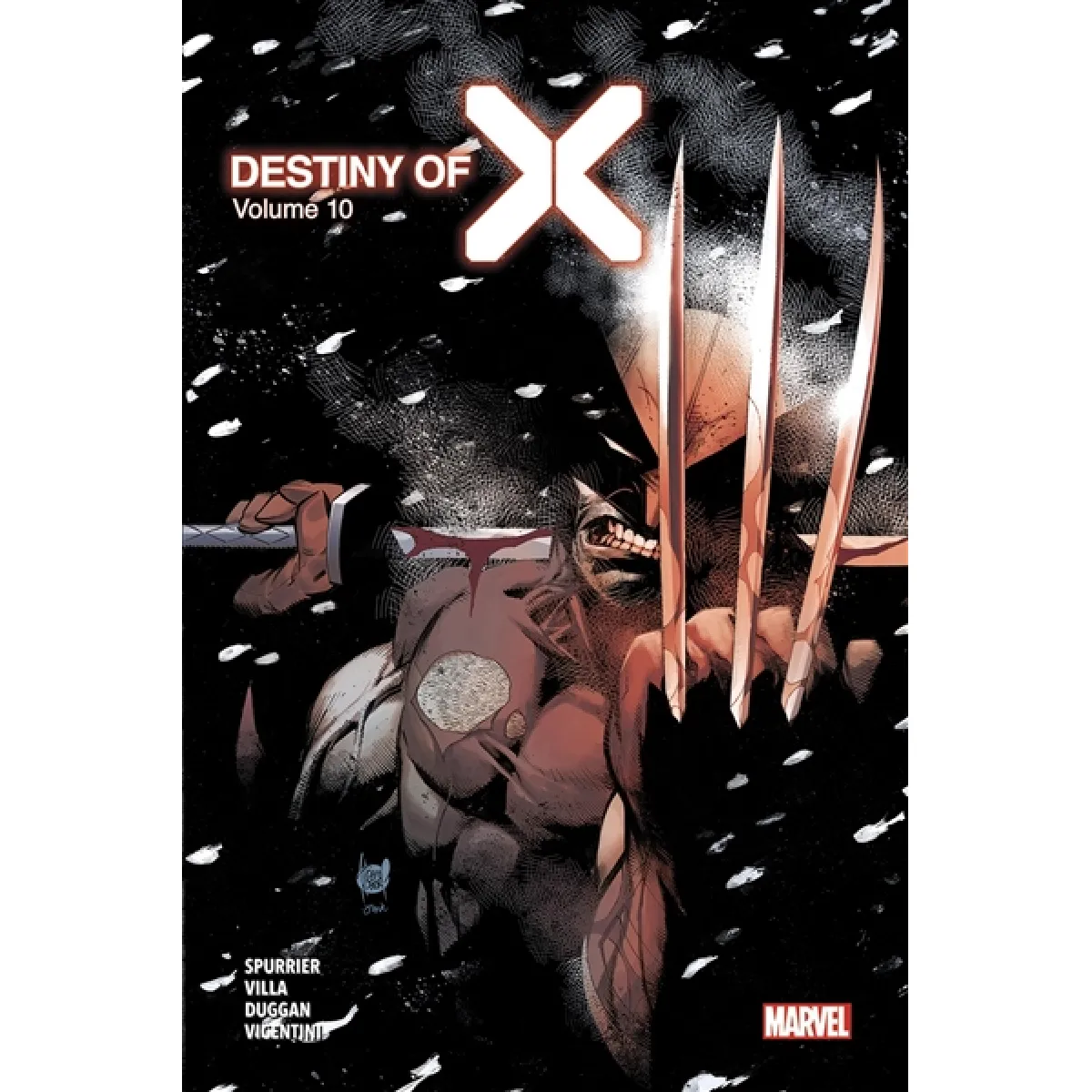 Destiny of X. Vol. 10