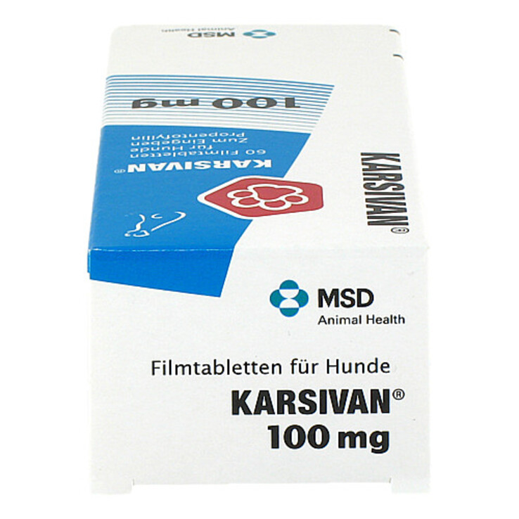 KARSIVAN 100 mg Filmtabletten für Hunde, 60 St