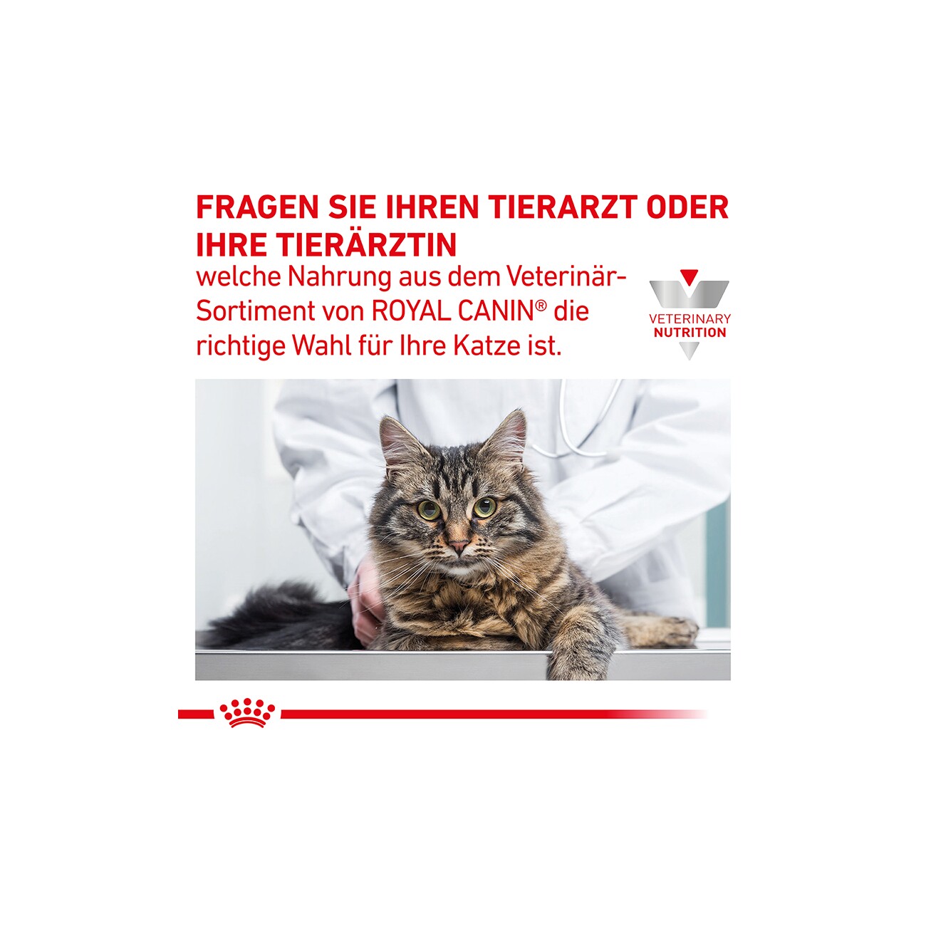 ROYAL CANIN Veterinary Gastrointestinal Moderate Calorie, in Soße 12x85g