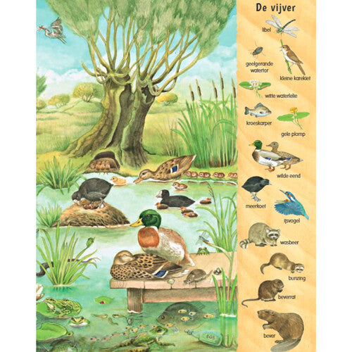 Uitgeverij deltas kijk- en zoekboek bij het water