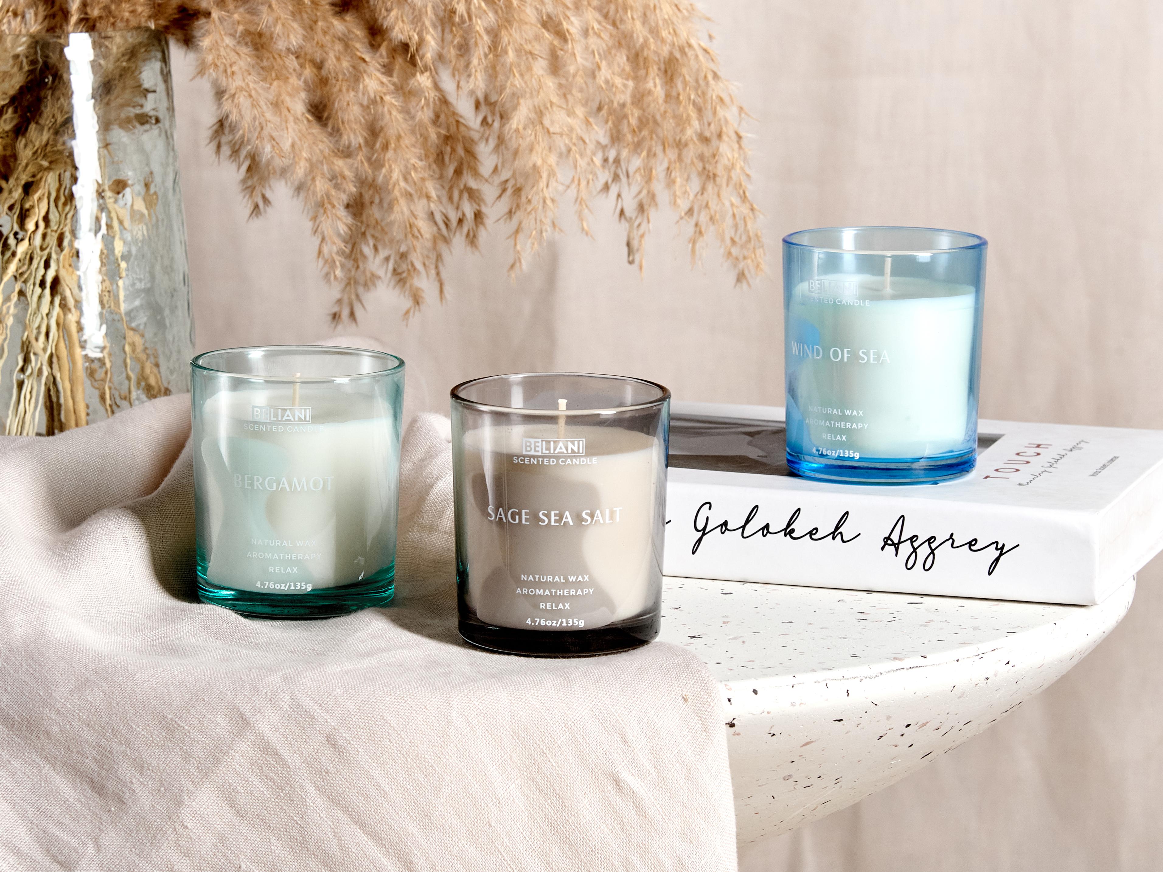 Set van 3 geurkaarsen SHEER JOY Soja wax Frisse geurnoten