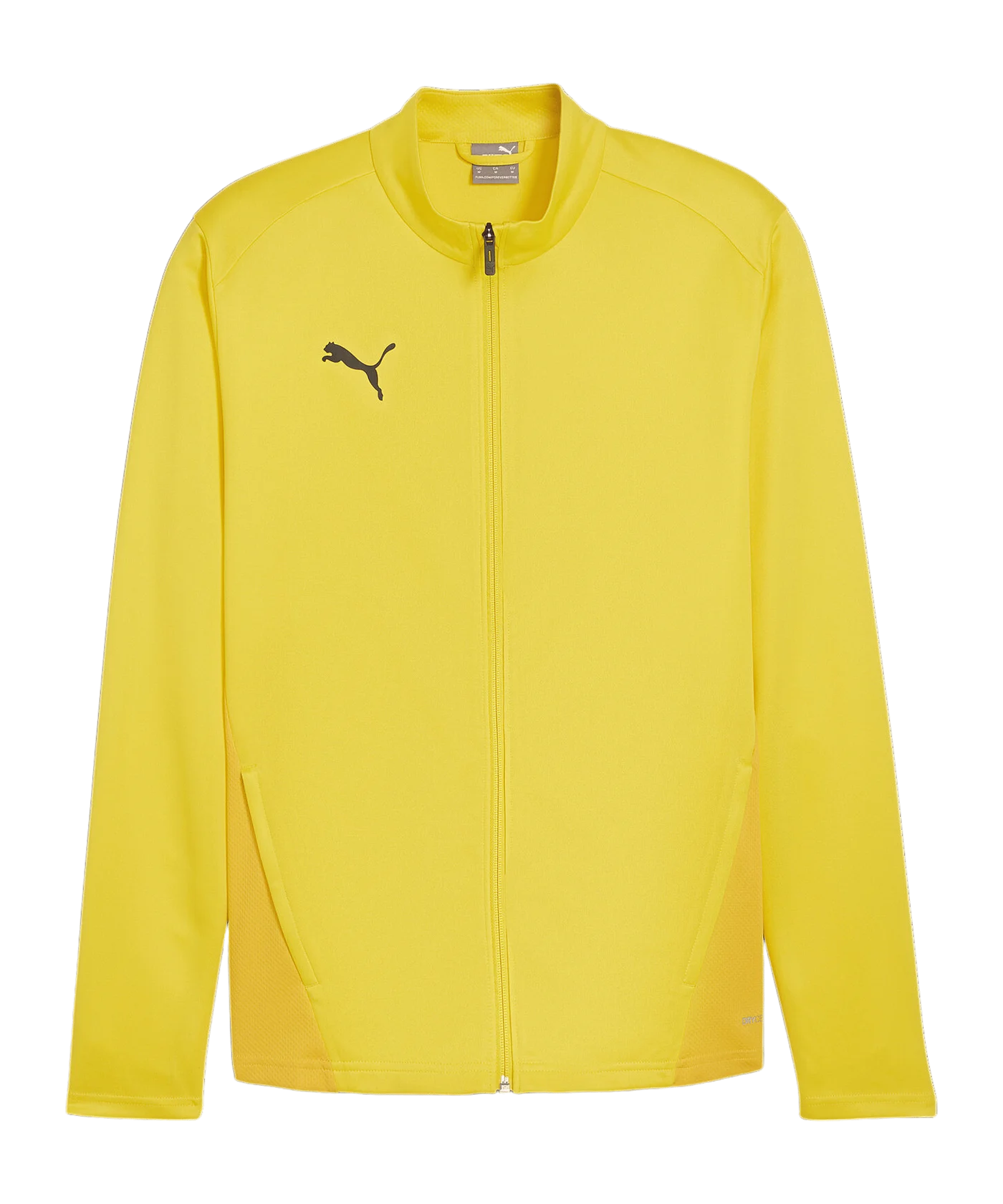 PUMA teamGOAL Trainingsjacke Gelb F07