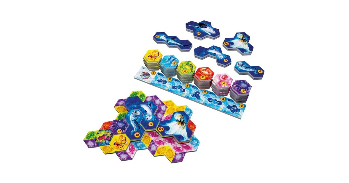 European Player NetworkAQUA: Biodiversity in the Oceans Bordspel  (Engels, 1 - 4 spelers, 30 - 45 minuten, Vanaf 8 jaar)