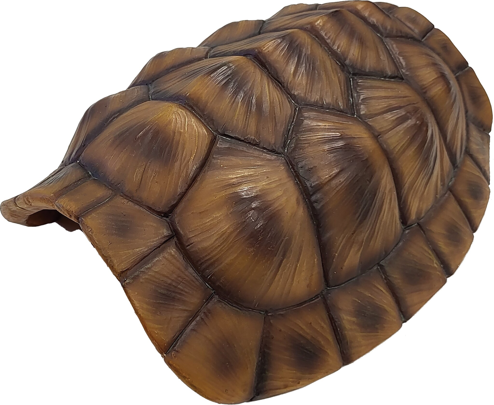 Repto Terrarium Deco Tortoise Schuilplaats XL