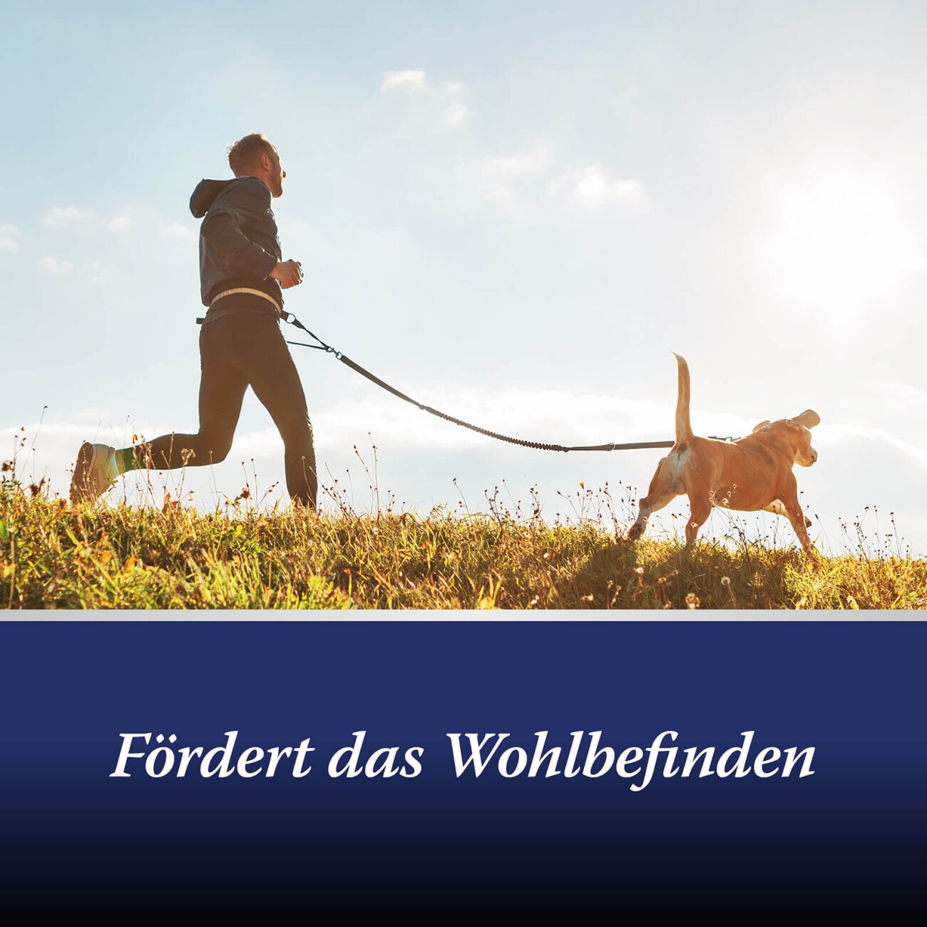 ARDAP Canosept Gelenktabletten 20x1 Stück