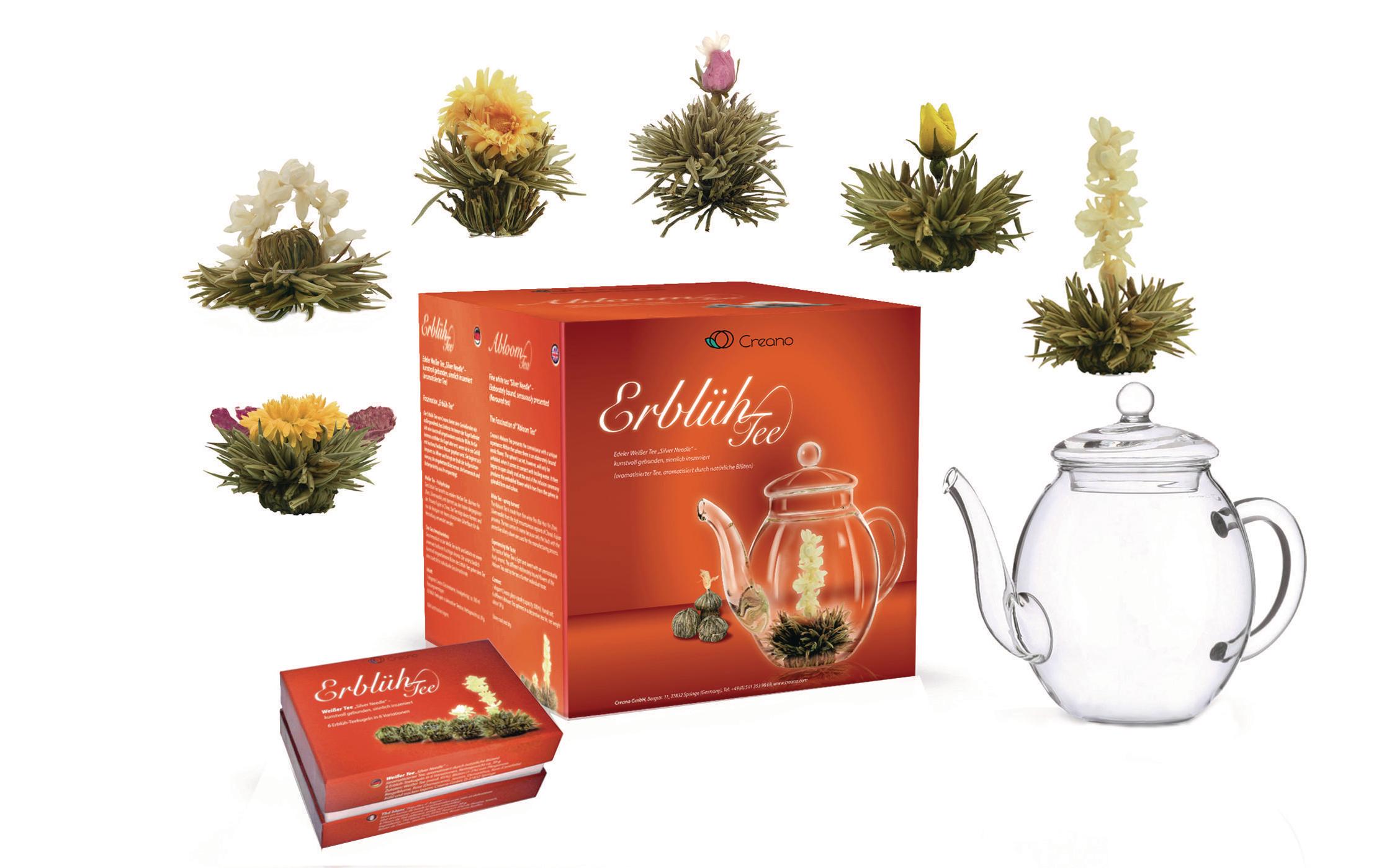 Tee-Set Erblühtee 0.5 l, TransparentGeschenkset Weisser Tee