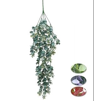 CHUTE FEUILLAGE EUCALYPTUS BLANCHI H.77CM
