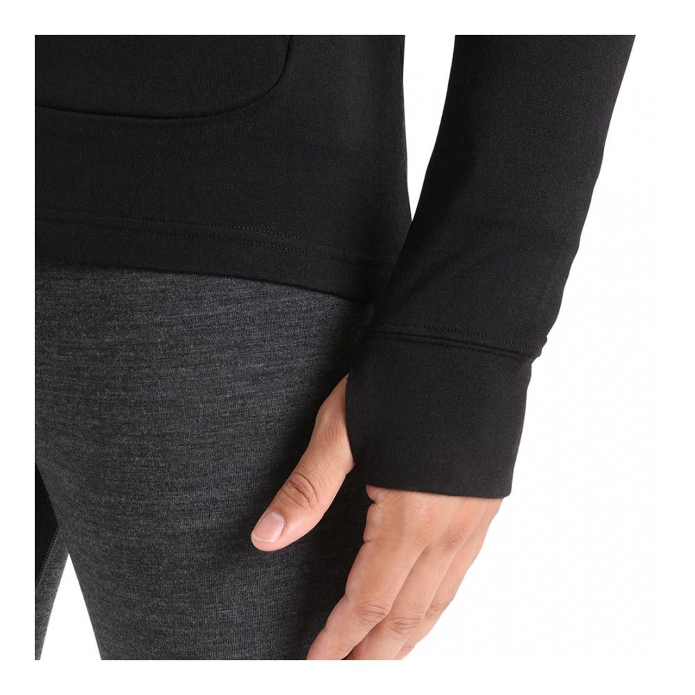 Icebreaker QUANTUM III - Sweat Homme black