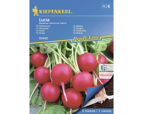 Radijs Lucia Kiepenkerl hybride zaden, groentezaden, zaadlint