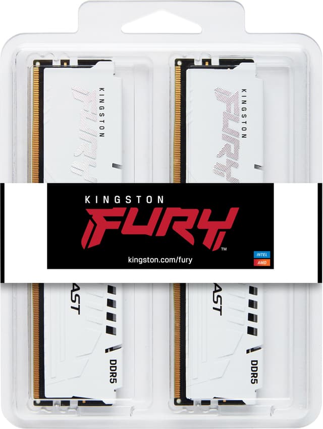 Kingston FURY Beast RGB 32GB DDR5 RAM 6000MT/s CL30 (hvid)