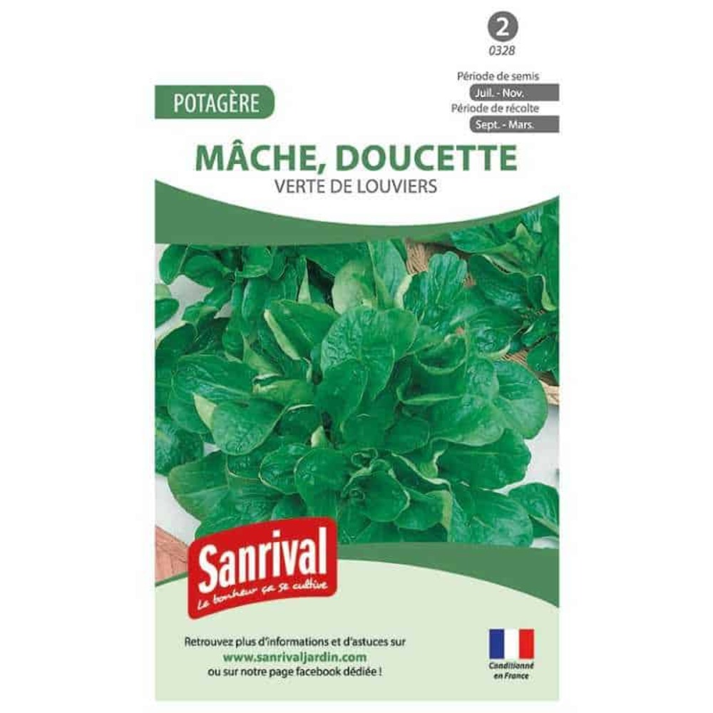 Graines mâche verte louviers