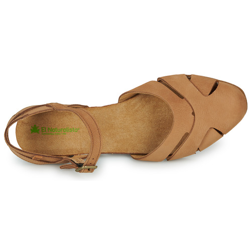 El Naturalista - STELLA - Marron