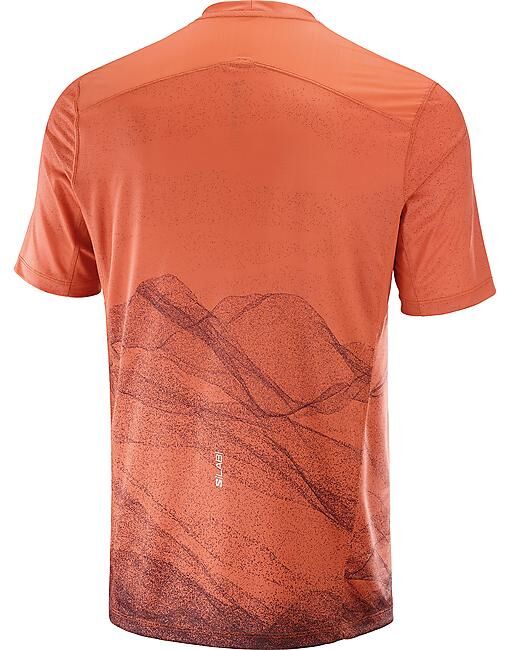 SALOMON - T-SHIRT MC S-LAB ULTRA TEE AOP M